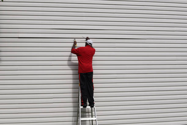 Best Engineered Wood Siding  in Reed City, MI